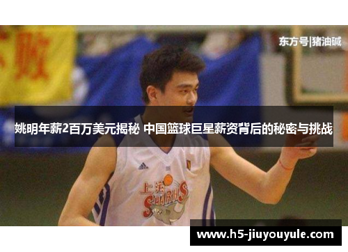 姚明年薪2百万美元揭秘 中国篮球巨星薪资背后的秘密与挑战