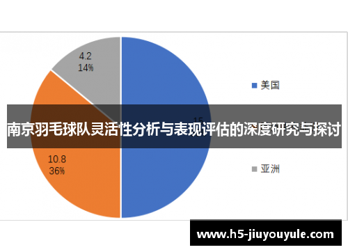 南京羽毛球队灵活性分析与表现评估的深度研究与探讨